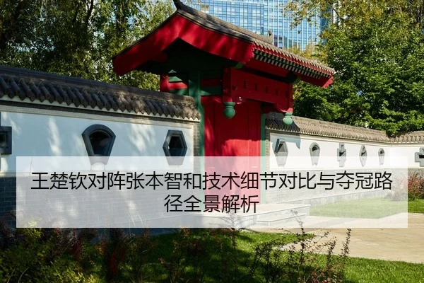 王楚钦对阵张本智和技术细节对比与夺冠路径全景解析