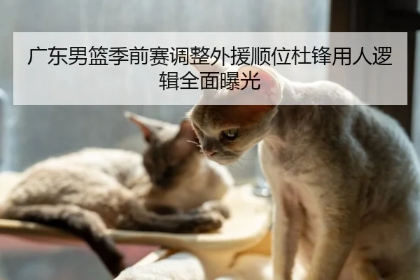 广东男篮季前赛调整外援顺位杜锋用人逻辑全面曝光